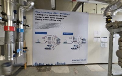 02.2026 Danemarca (5)